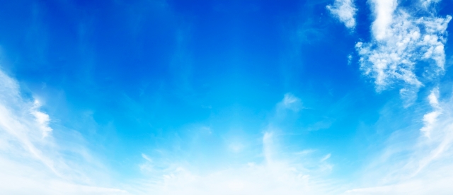 オオサカムセンデンキ 事業内容